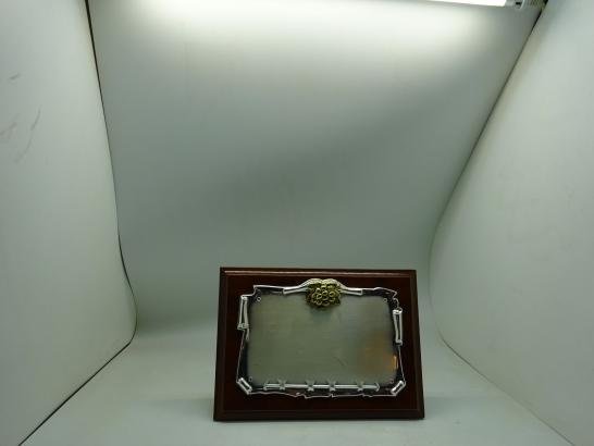 درع تذكاري  ايطالي