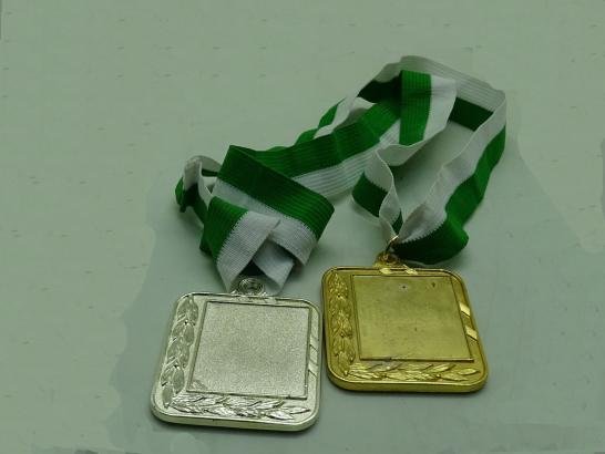 ميدالية ذهبية فضية  مستطيلة