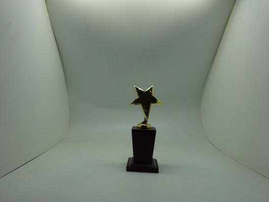 مجسم ستار بقاعدة