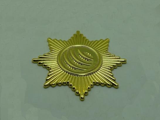 ميدالية ستار