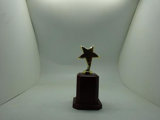 مجسم نجمة قاعدة دائرية