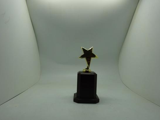 مجسم نجمة بقاعدة 3