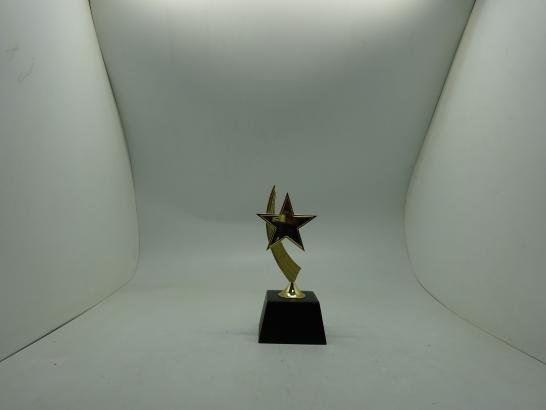 مجسم نجمه بقاعدة 2