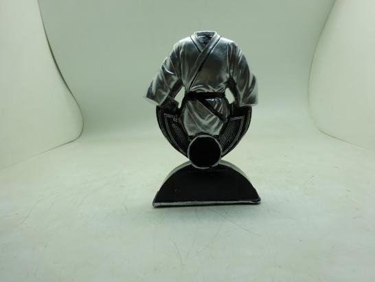 مجسم تايكوندو